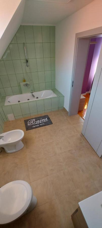 Casa Bita Apartment Sibiu Luaran gambar